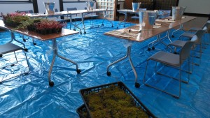 64615664_489336058503047_1861201400294277120_n