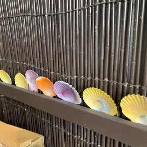 64628051_368574983799635_4813720064555483136_n