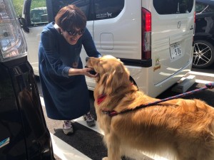 64655900_2276084012469652_2049255697241079808_n