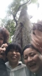 64656820_322765588656328_1106229450548183040_n