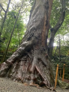 64664763_1283565745152715_4972375628188745728_n