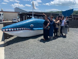 64686964_2276081989136521_5346299118815805440_n