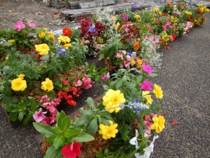 64707817_2286915671386486_2295043305357967360_o