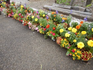 64722365_2286915764719810_4877958236839346176_o