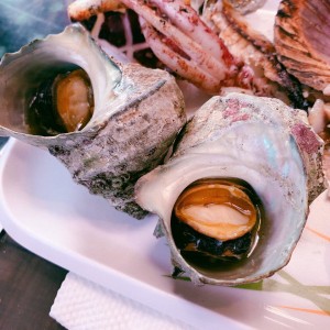 64730380_427912851271967_65364209629659136_n