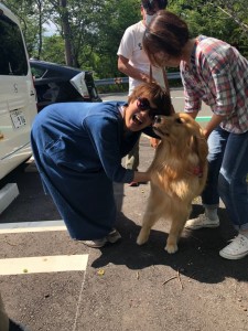 64742015_2591430304243217_3332831386892500992_n