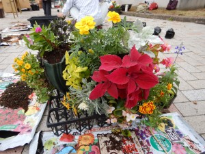 64782324_2286915534719833_3833995418262306816_o