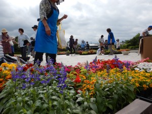 64815409_2286915158053204_4593045104448503808_o