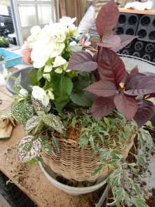 64821741_437644927033466_2649000261825069056_n