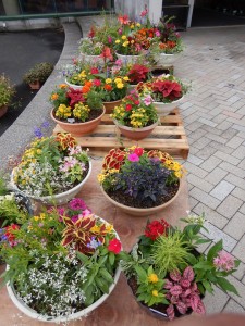 64832951_2286916631386390_8614967675740749824_n