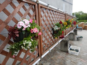 64836430_2286915798053140_1077916283103608832_o