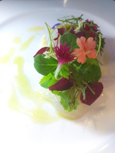 64861005_2130661093729402_7345230649889914880_n