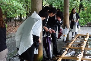 64877487_527679421100773_1330509082217414656_n