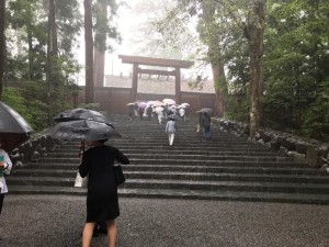 64906552_402189153716346_9124259975667908608_n