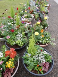 64921865_2286916484719738_2673359168844333056_n