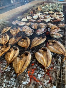 64981121_2276081112469942_8093702205288218624_n