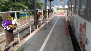 65043014_392794121372211_3836730436256530432_n