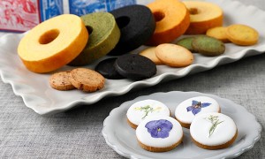 65172723_2473440669551430_4542891757720829952_n