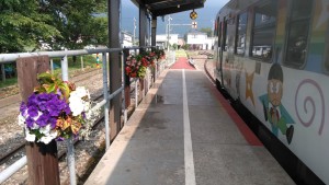 65183706_487038188708020_4366982683394310144_n