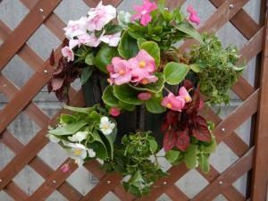 65185206_2286915931386460_8652086660013490176_o