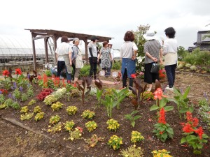 65194895_2248390048578819_5797788559167455232_n