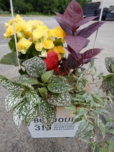 65198072_1237965706384609_990729855744081920_n