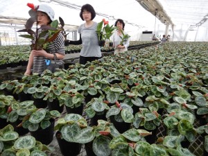 65230711_2392152977706640_4509827209690611712_n