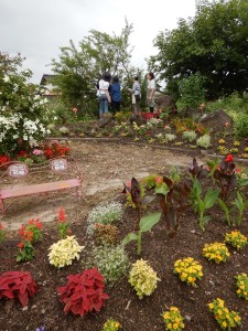 65240654_2458910041062740_2439440921893273600_n