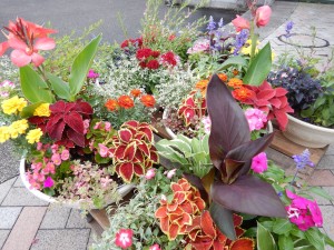 65263884_2286916564719730_4753662961329897472_o