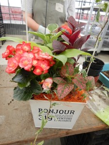 65305627_2077630549209146_6680722475313004544_n