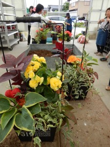 65307859_1186434621528268_6437507861844066304_n