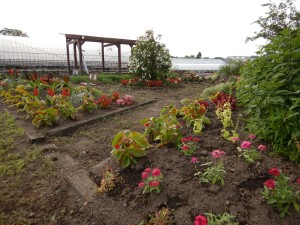 65314751_458589904715499_6084446036690993152_n