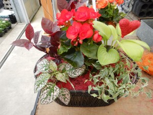 65318911_2517233508300290_3275167070077059072_n