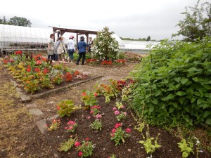 65387146_495358581005339_6717597067356667904_n