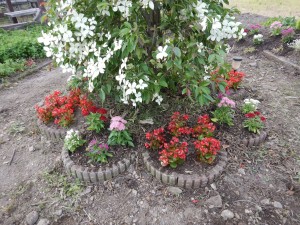 65445557_2249055638757604_4560267421578952704_n