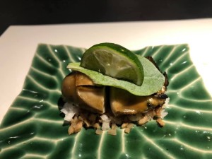 65496267_2279106572177380_2979923330158559232_n