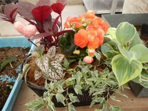 65517497_1174192786101691_1893667277128073216_n