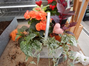 65530951_693338884441454_931982906522337280_n