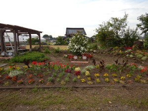 65568101_1046787018859331_3136840295325368320_n