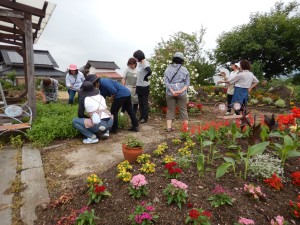 65584072_625726104599795_4811079681870659584_n