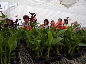 65631966_4114691468807430_8525688650120298496_n