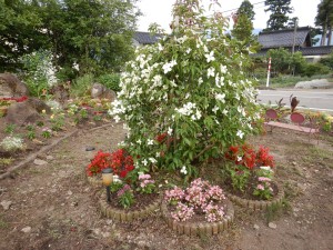 65651167_2153680961421220_3809524644524851200_n