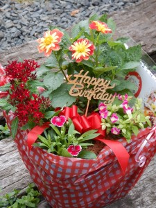 65707770_689057041538715_8578121585100062720_n