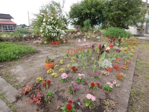 65717721_360716497968059_5647552385564803072_n