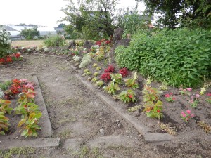 65731646_475235846565458_7557277768023539712_n