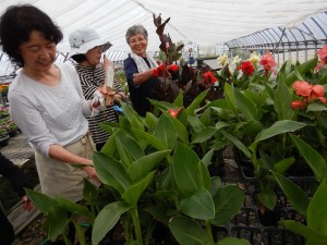 65739528_341750569855651_7492742319578284032_n