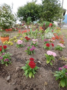 65781811_370298606956819_8757308720200810496_n