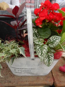 65800492_2455923774626884_6973187040678510592_n