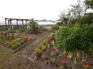 65961537_1231904010303207_6884958117382062080_n