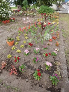 66108831_288268648639435_7268227564219400192_n